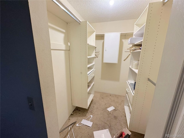 walk in closet featuring light colored carpet