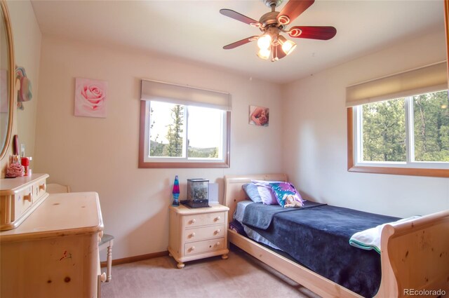 1738 Wildhorn Rd, Florissant, CO 80816 - photo 24