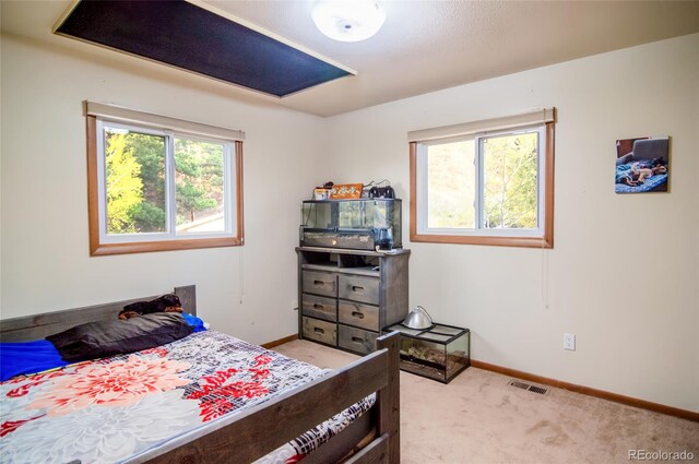 1738 Wildhorn Rd, Florissant, CO 80816 - photo 25