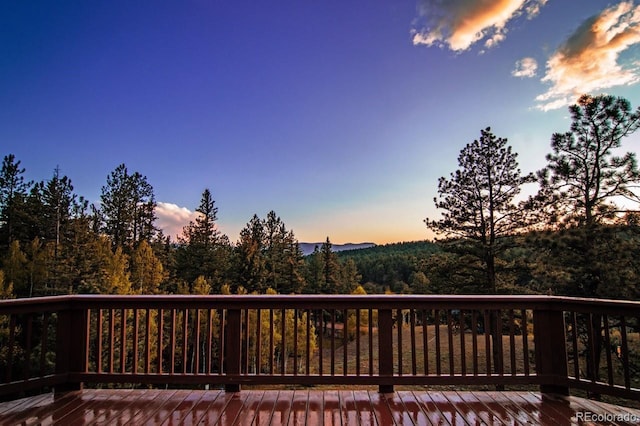 1738 Wildhorn Rd, Florissant, CO 80816 - photo 37