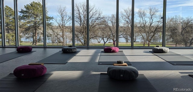 gym with floor to ceiling windows