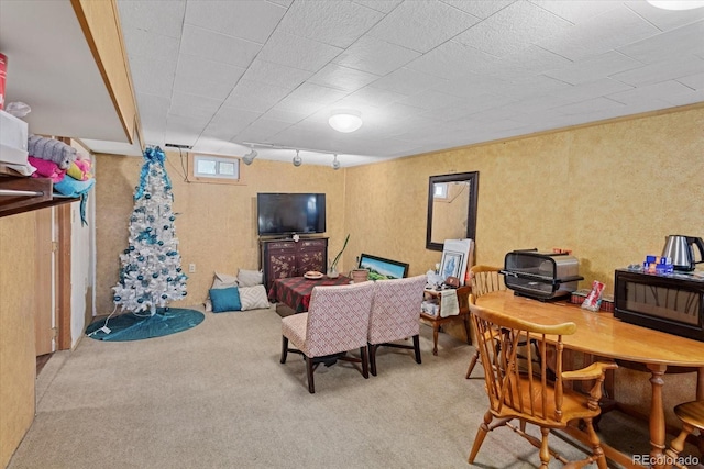 carpeted living room with rail lighting