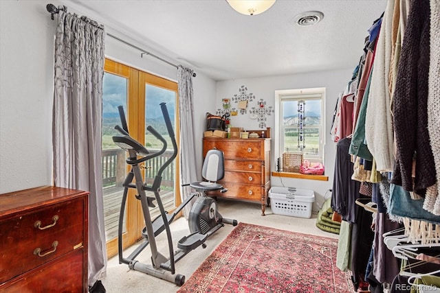 workout area featuring carpet flooring