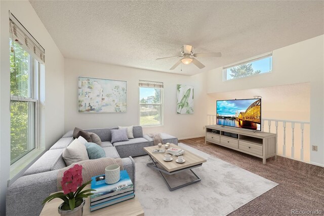 carpeted living room with ceiling fan, plenty of natural light, and a textured ceiling