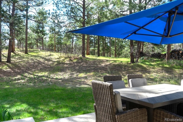 view of yard featuring outdoor dining area