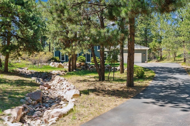 7701 Rollins Dr, Larkspur, CO 80118 - photo 4