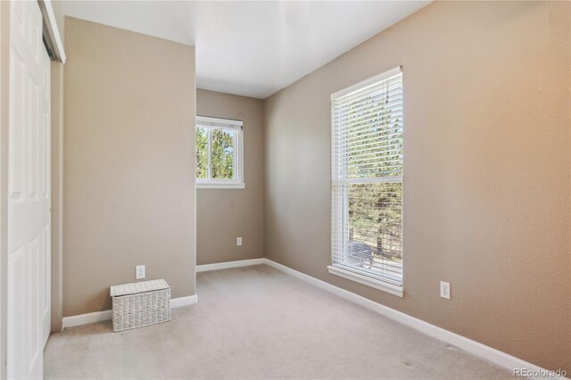 7701 Rollins Dr, Larkspur, CO 80118 - photo 20