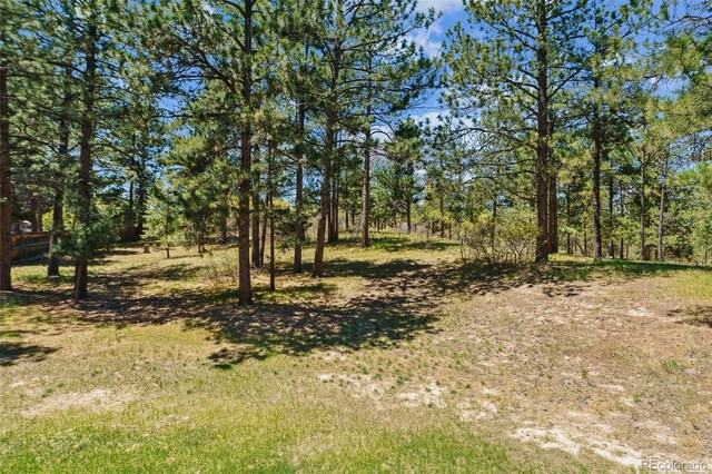 7701 Rollins Dr, Larkspur, CO 80118 - photo 30