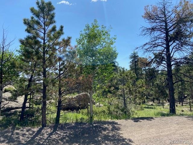 1118 Copperdale Ln, Golden, CO 80403 - photo 7