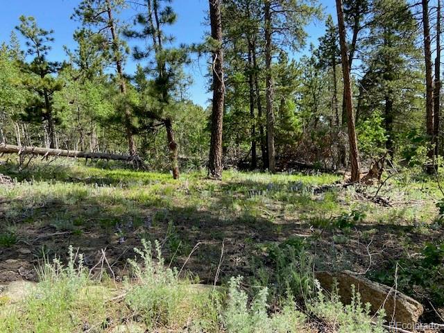 1118 Copperdale Ln, Golden, CO 80403 - photo 16