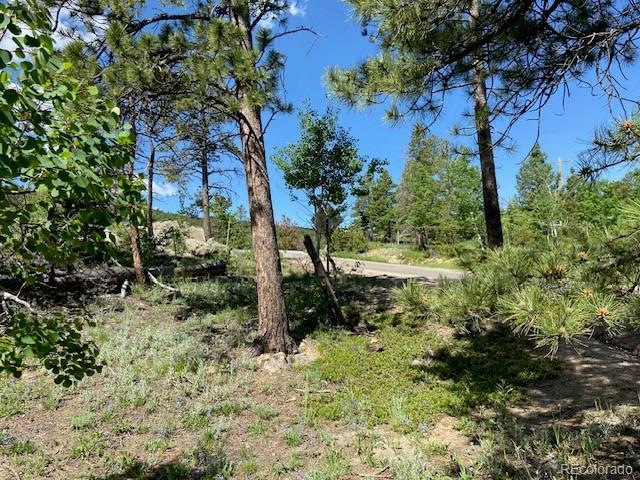 1118 Copperdale Ln, Golden, CO 80403 - photo 22