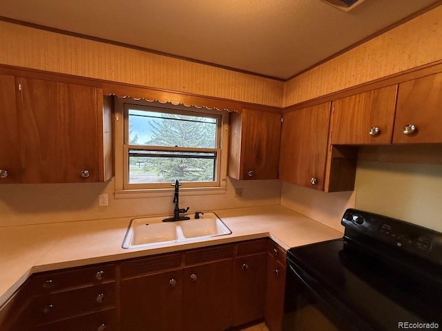 1013 Lexington Ln, Estes Park, CO 80517 - kitchen with electric range, light countertops, and brown cabinets
