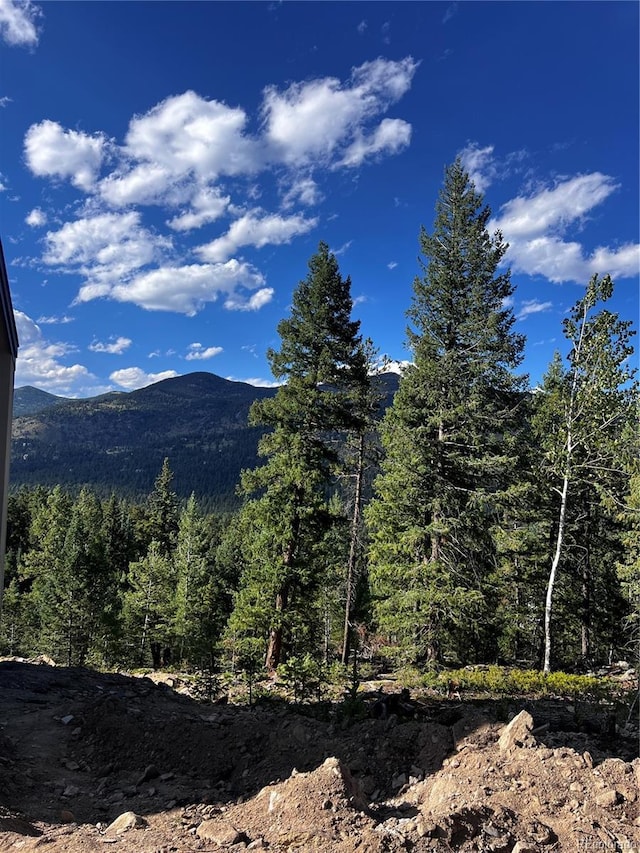 mountain view with a view of trees