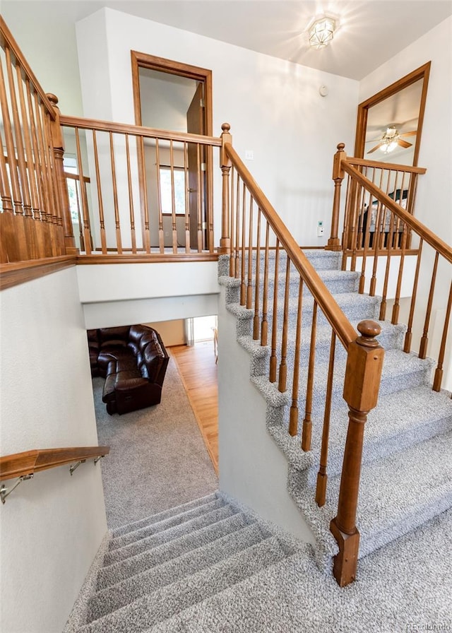 2457 Craycroft Dr, Colorado Springs, CO 80920 - photo 10