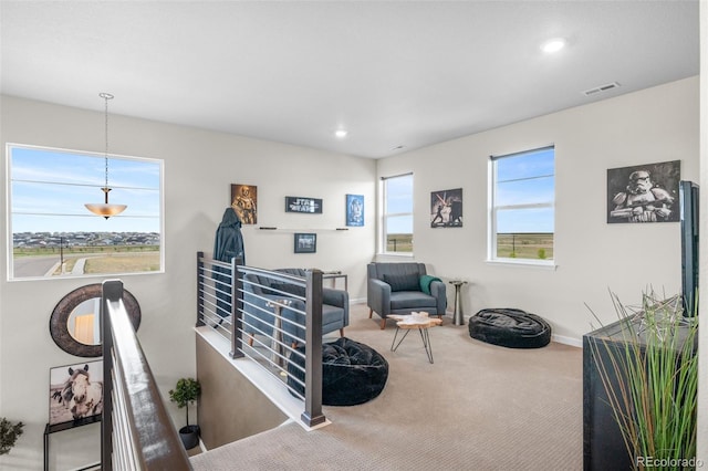 3453 N Gold Bug Ct, Aurora, CO 80019 - photo 20