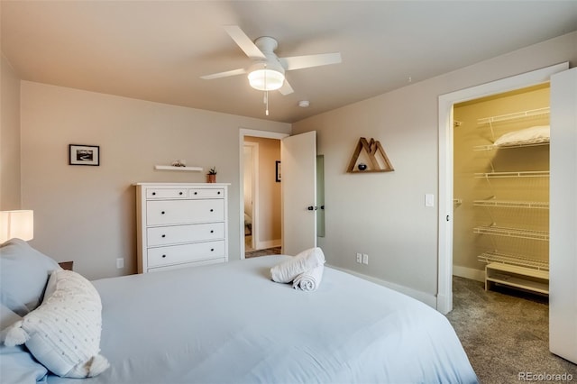 bedroom with carpet floors, a walk in closet, ceiling fan, and baseboards