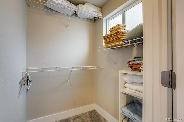 walk in closet with carpet flooring