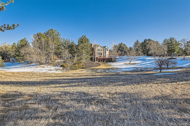 view of yard covered in snow