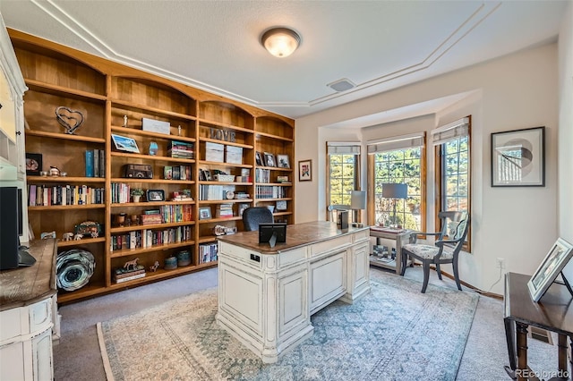 view of carpeted home office