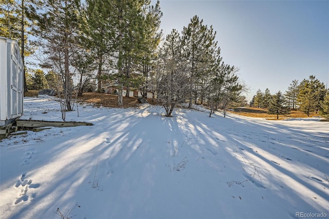 view of snowy yard