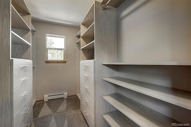 28051 Camel Heights Cir, Evergreen, CO 80439 - walk in closet with baseboard heating and carpet floors