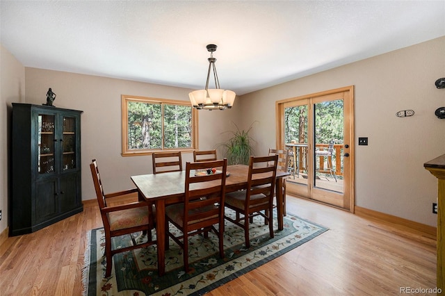 dining room with a chandelier, light wood-type flooring, and healthy amount of natural light