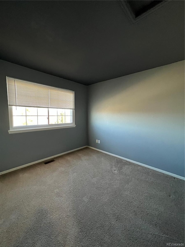 spare room with carpet floors