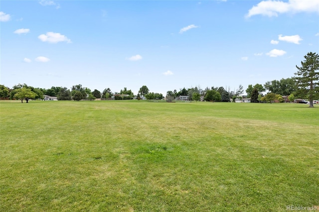 12705 W Chenango Ave, Morrison, CO 80465 - view of green lawn