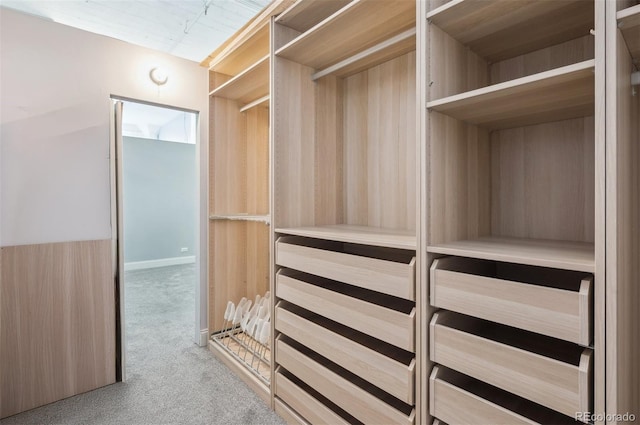 720 16th St Unit 306, Denver, CO 80202 - spacious closet with carpet flooring