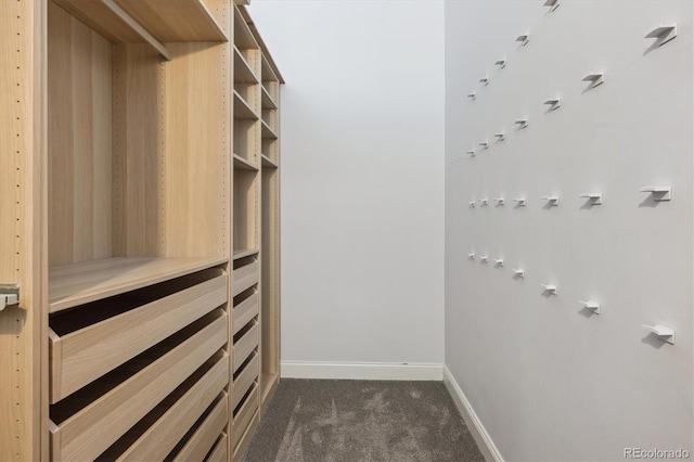 720 16th St Unit 306, Denver, CO 80202 - spacious closet featuring dark colored carpet