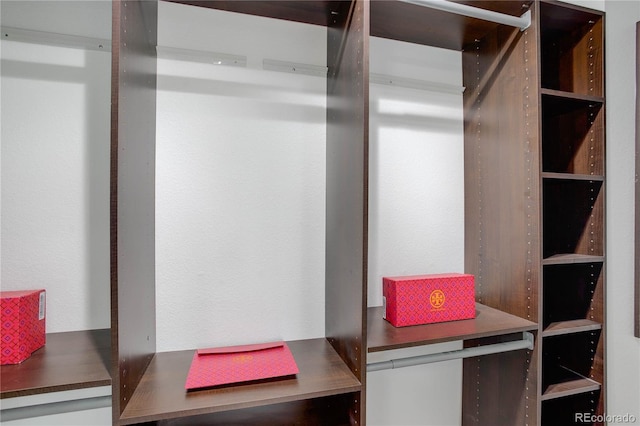 8652 Aberdeen Cir, Highlands Ranch, CO 80130 - view of closet