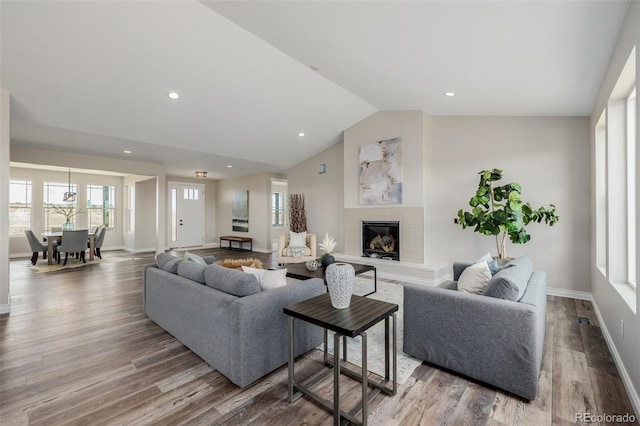 living room featuring lofted ceiling and wood-type flooring