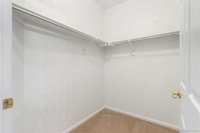 spacious closet with carpet