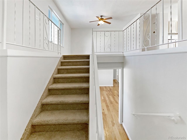 staircase featuring ceiling fan and hardwood / wood-style flooring