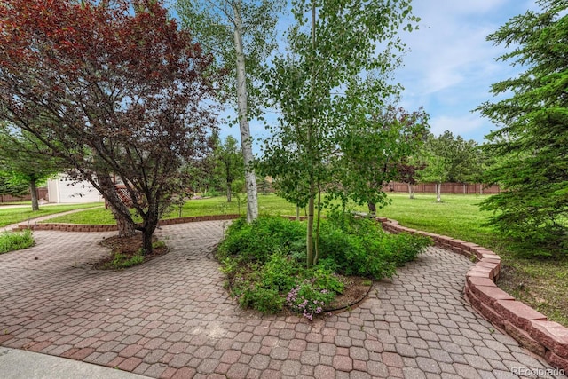745 Platt Ln, Palmer Lake, CO 80133 - photo 42