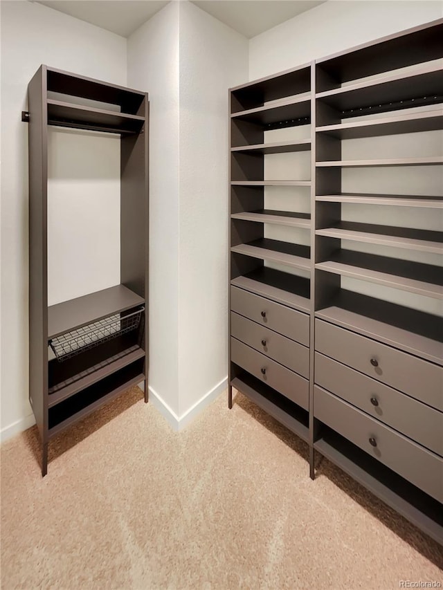 view of walk in closet