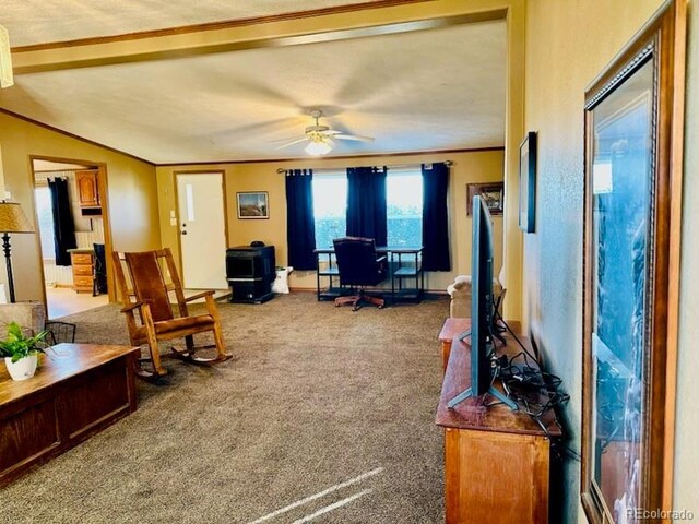 10497 Ln 1, Mosca, CO 81146 - photo 9