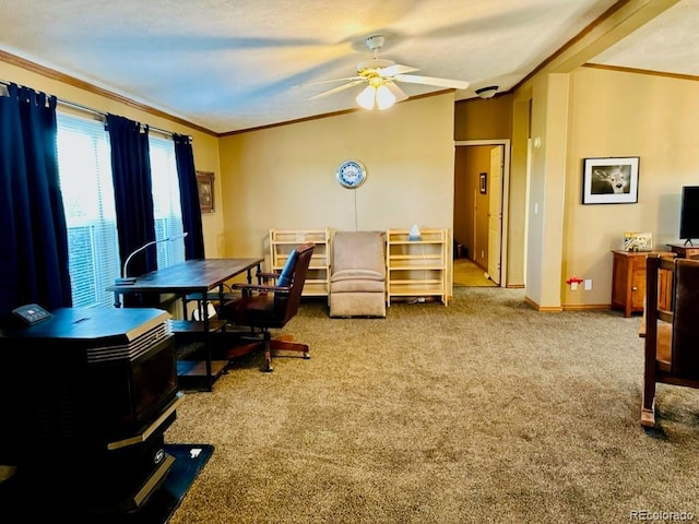 10497 Ln 1, Mosca, CO 81146 - photo 11