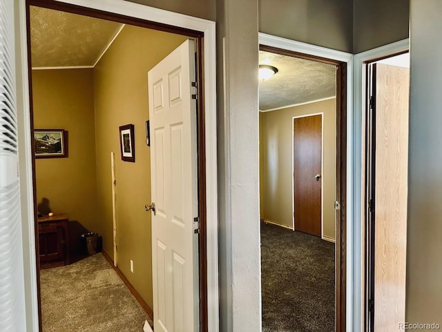 10497 Ln 1, Mosca, CO 81146 - photo 22