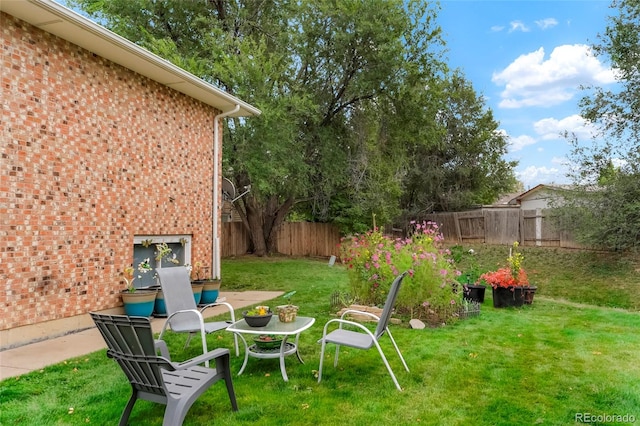 view of yard featuring a patio area