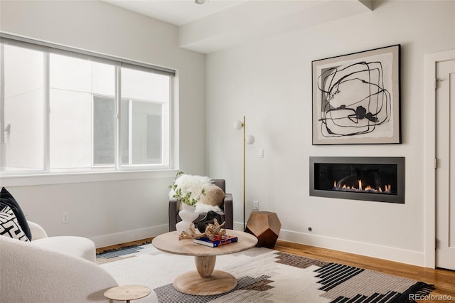 3308 W 17th Ave, Denver, CO 80204 - living area with wood finished floors and a glass covered fireplace
