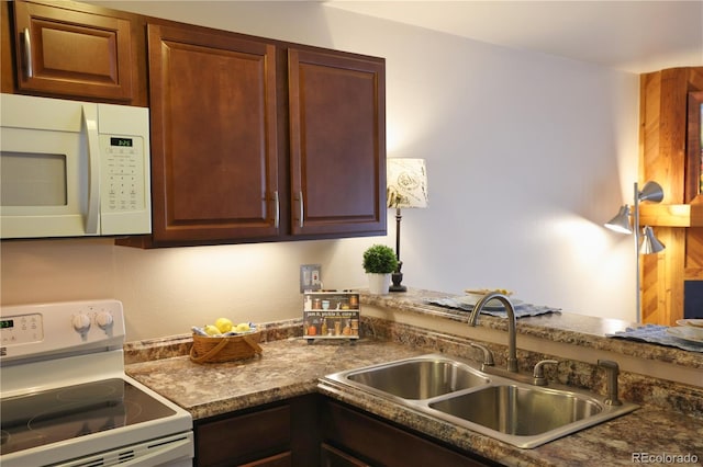 6833 Overland Dr, Colorado Springs, CO 80919 - photo 8