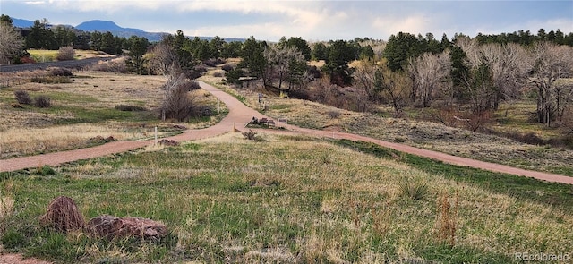 6833 Overland Dr, Colorado Springs, CO 80919 - photo 22