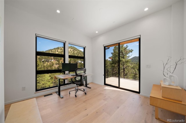 365 Bow Mountain Rd, Boulder, CO 80302 - office featuring light wood-type flooring and recessed lighting