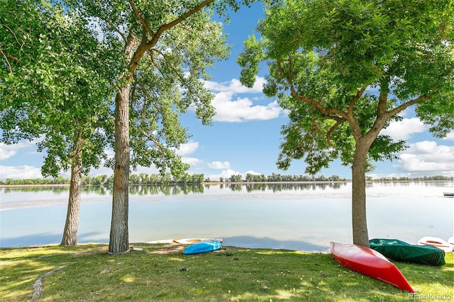 dock area with a yard and a water view