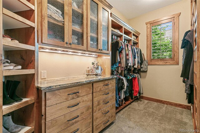 spacious closet featuring carpet