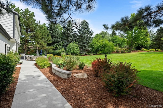 5698 Green Oaks Dr, Greenwood Village, CO 80121 - view of grassy yard with view of scattered trees and a patio