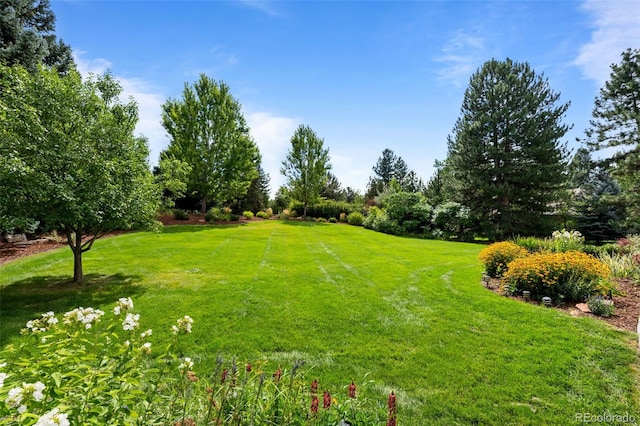 5698 Green Oaks Dr, Greenwood Village, CO 80121 - view of green lawn