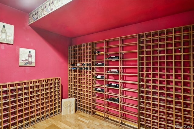 wine cellar with wood-type flooring