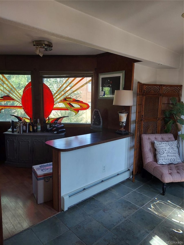 kitchen featuring baseboard heating